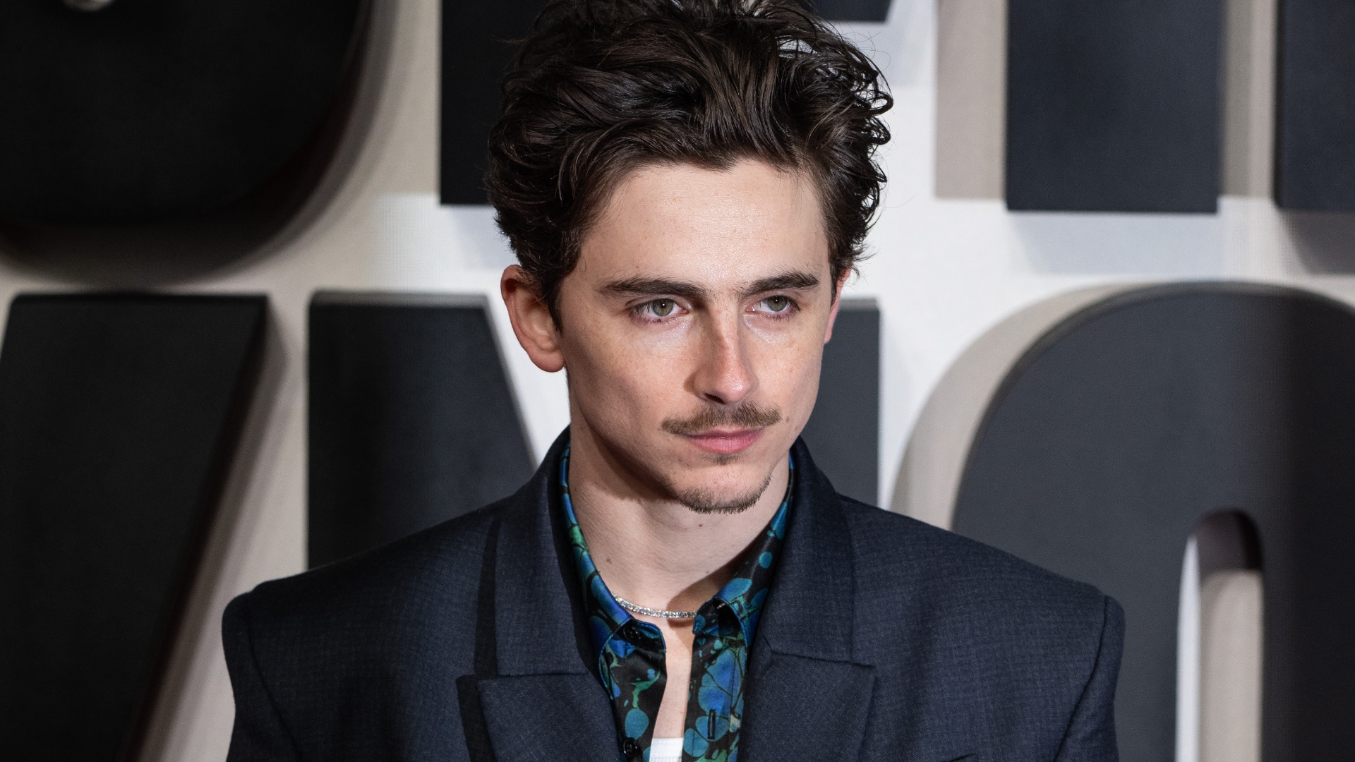 Timothée Chalamet notes similarities between Bob Dylan and the political message of ‘Dune’