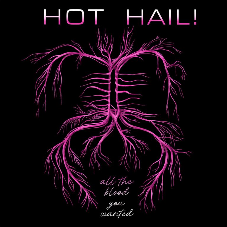 Hot Hail! Reigns with Gorgeous and Grim Dark Synth Pop Full-Length “All The Blood You Wanted”