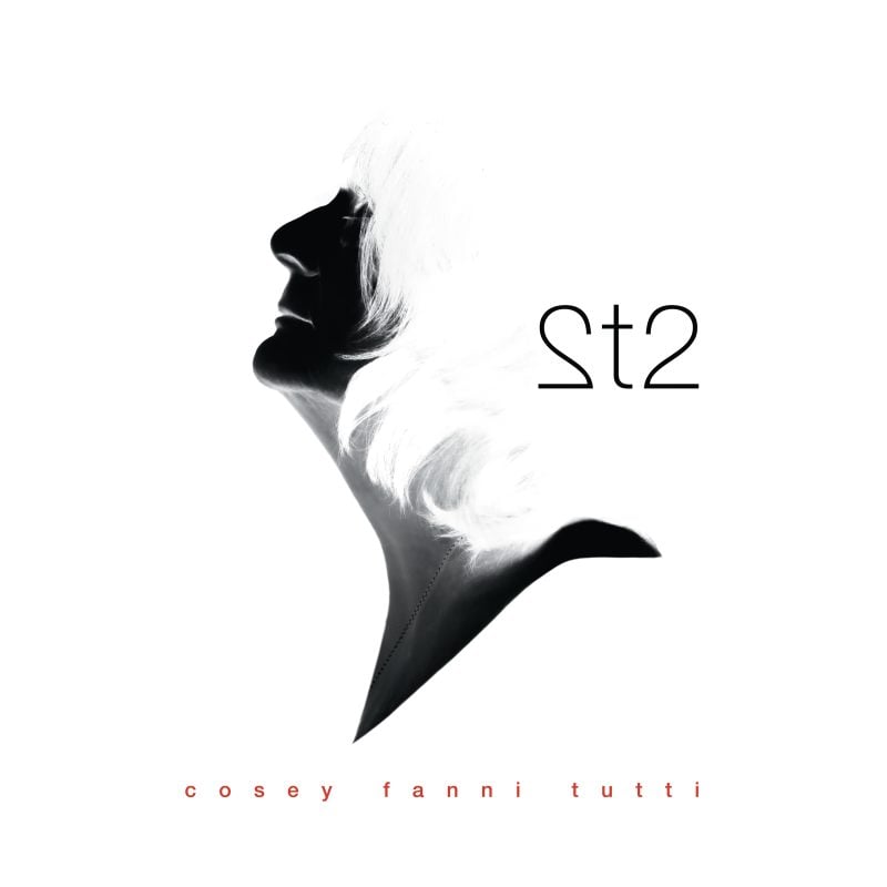 Cosey Fanni Tutti Announces New Solo Album “2t2” — Listen to the Haunting Chanting of “Stound”