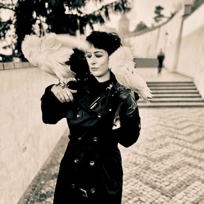 Austin Dreampop Duo Jet Cemetery Watch Europe Through a Train Window in Their Video for “Embers”