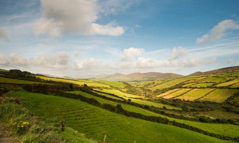 Best Irish Classical Music For St Patrick’s Day: 20 Essential Pieces