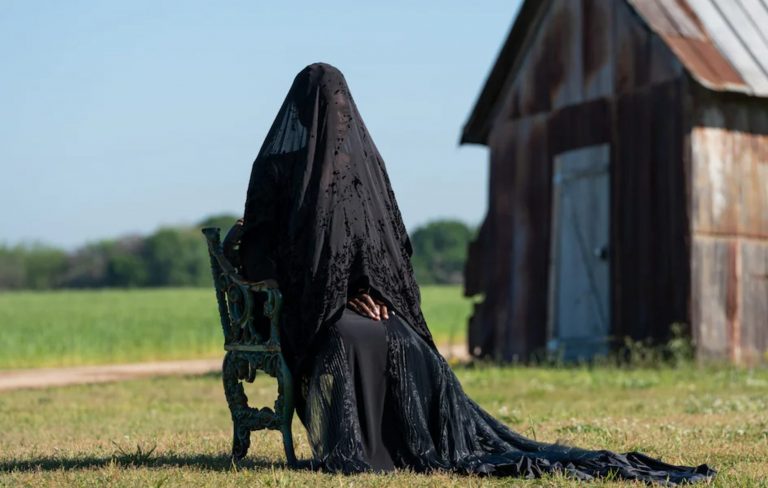 ‘The Woman In The Yard’ review: haunting meditation on grief is not your garden-variety horror