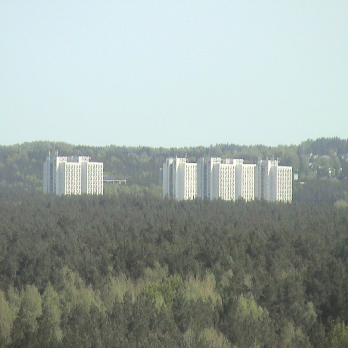 Danish Post-Punk Outfit Taxidermy Debuts Ominous New Single “Impending”