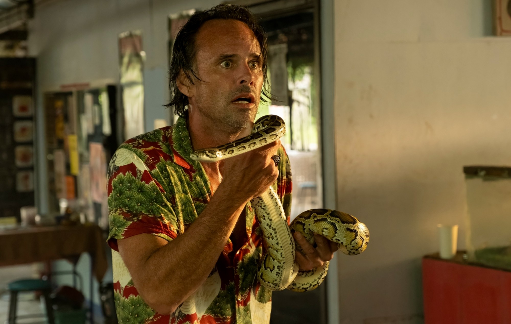 Walton Goggins reveals he was bitten by snake on ‘White Lotus’ set