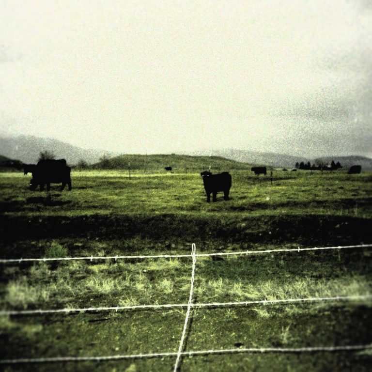 Tears Rain Down in San Fernando Valley Post-Punk Outfit Cruel Reflections’ Video for “Llorando”