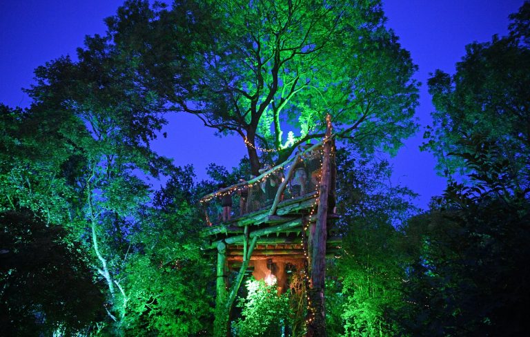 Glastonbury 2025: Check out the full Woodsies line-up