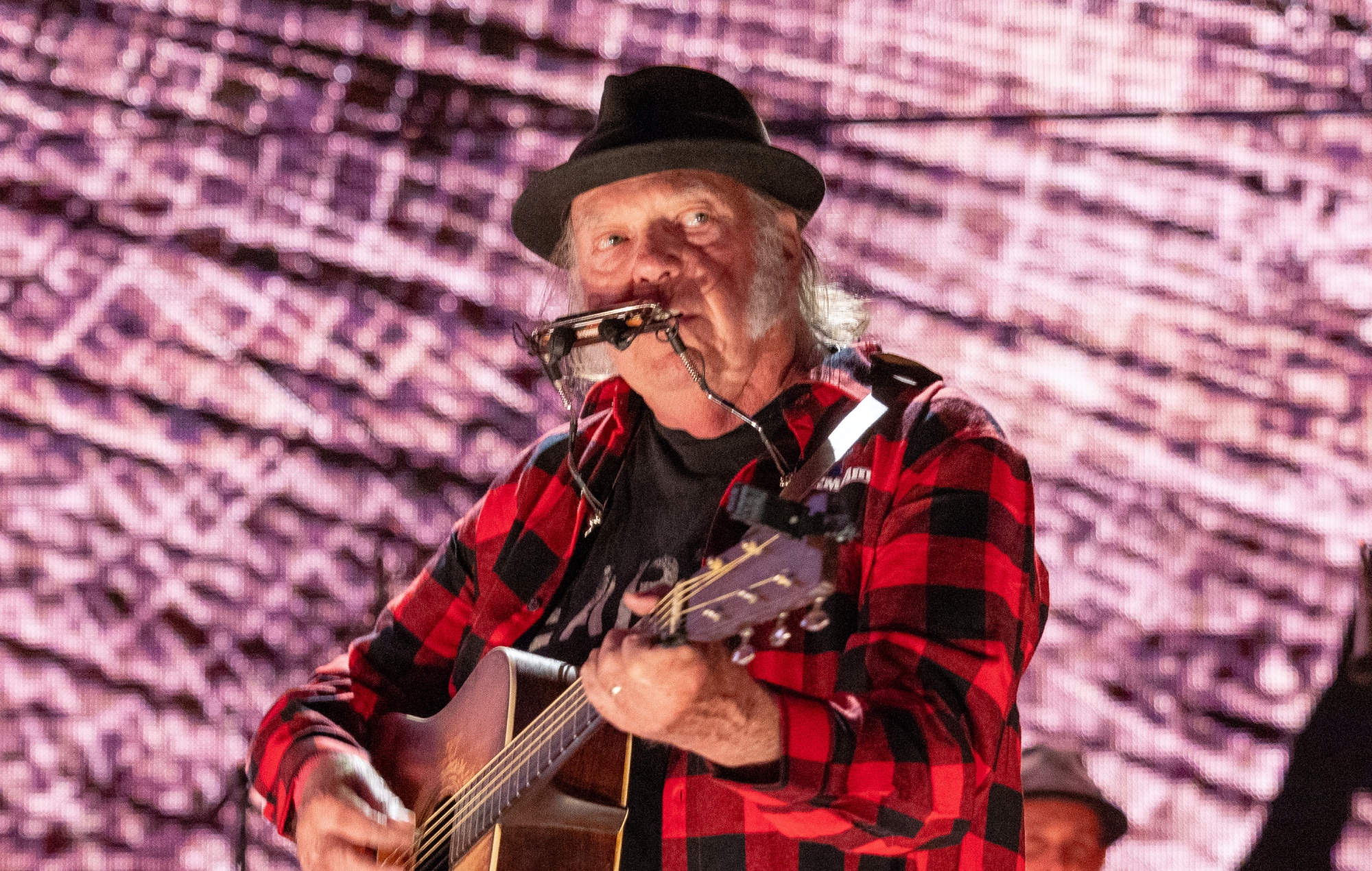Neil Young announces BST Hyde Park 2025 support acts