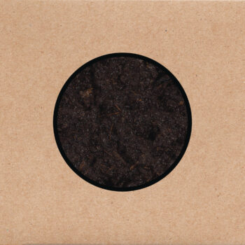 Swans – Birthing Review