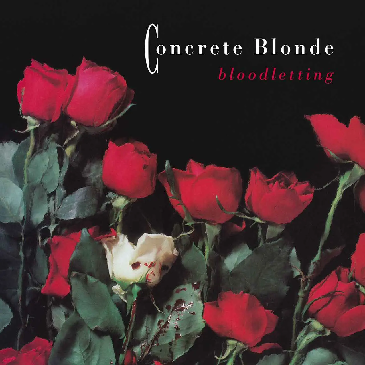 ‘Bloodletting’: How Concrete Blonde’s Breakout Brought Darkness To The Mainstream