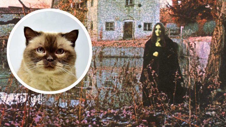 The mysterious woman on the cover of Black Sabbath’s debut album is raffling her autograph to raise funds for a cat rescue project