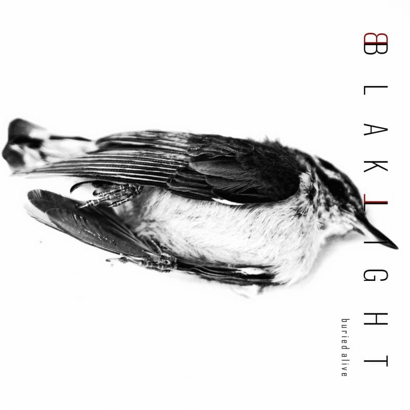 Los Angeles Synthpop Trio Blaklight Emerge from the Darkness with “Buried Alive” EP