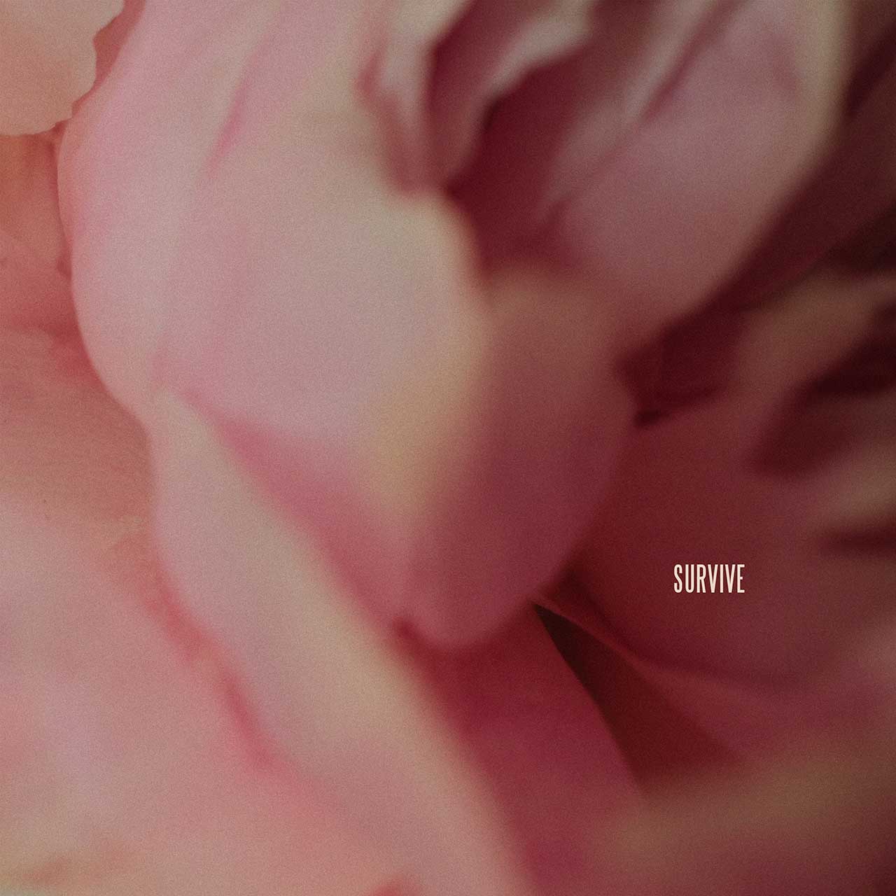 Lewis Capaldi Donates 734,000 Hours Of Free Therapy To Those In Need