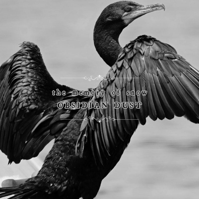 Ashen Hymns of the Apocalypse — French Post-Punk Project The Memory of Snow Releases Third Album “Obsidian Dust”