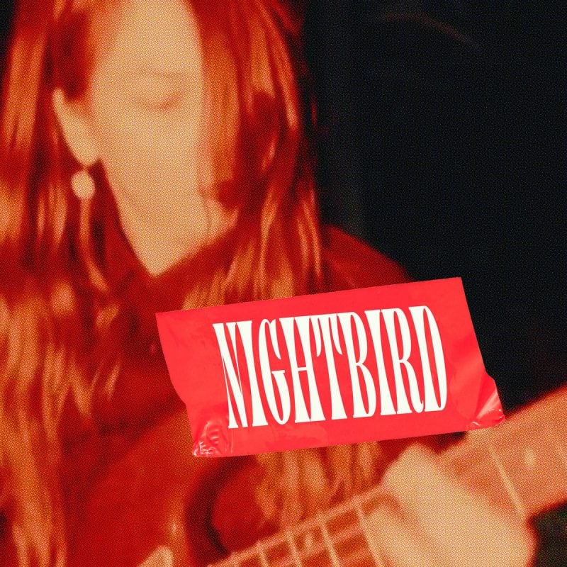 Berlin Post-Punk Outfit Lobsterbomb Takes Flight After Dark in their Video for “Nightbird”