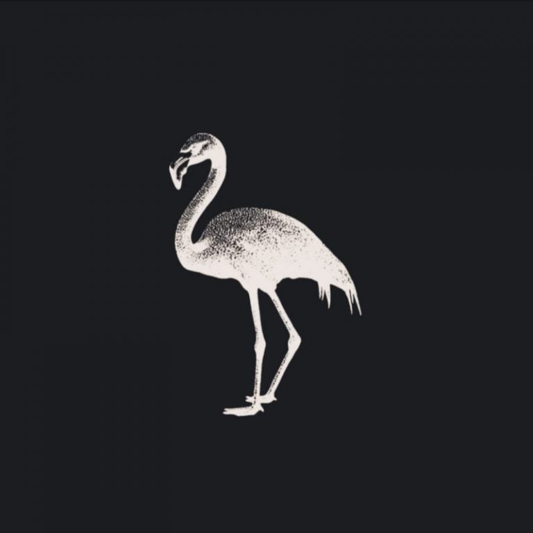 Darkwave Duo BLXCKFLAMINGO Strikes Again with Macabre Video for “Monsters”