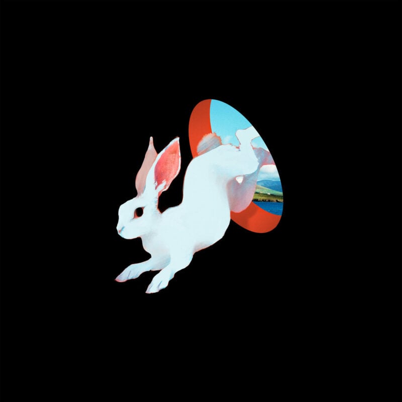 Chicago’s Ganser Stitch Up a Menagerie of Art-Punk and Indie Rock Sounds With “Animal Hospital” LP