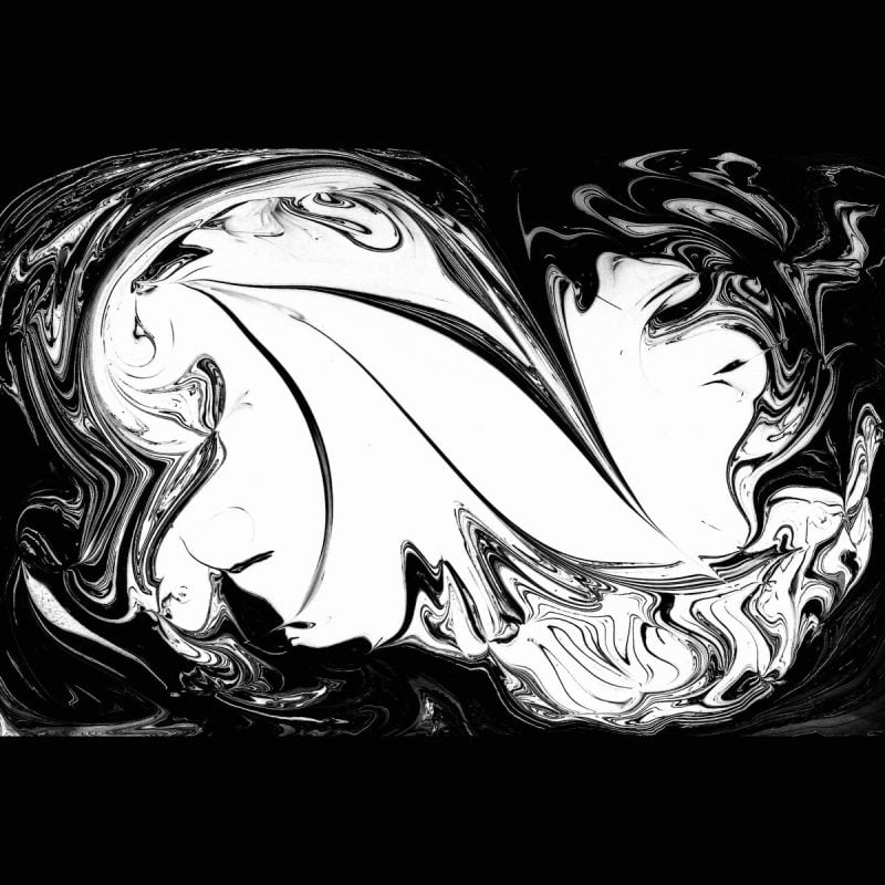 Balancing Dreams and Desire — Philadelphia Shoegaze Act Forest Circles Unveils “Libras”