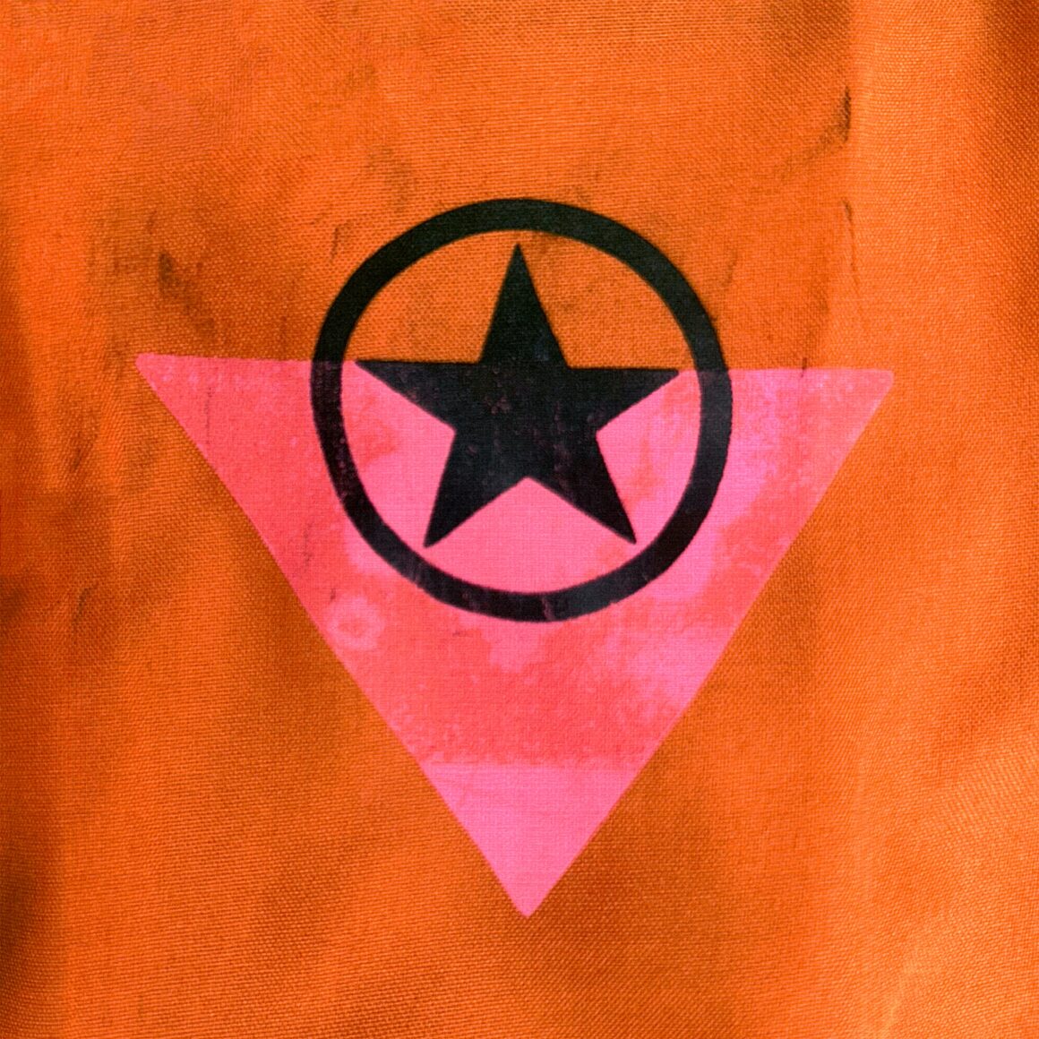 Dark Pop Artist Midniter Warns Against the Cult of Fascism in Video for “Alarmist”