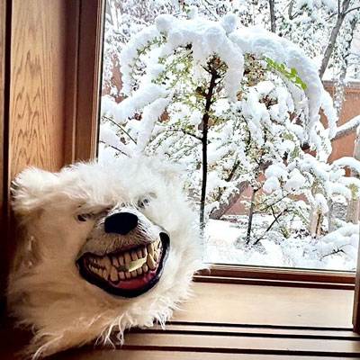 Freezemachine Ignite a Sonic Rebirth with “New Life”: A Heavy, Hopeful Anthem for the Restless Mind