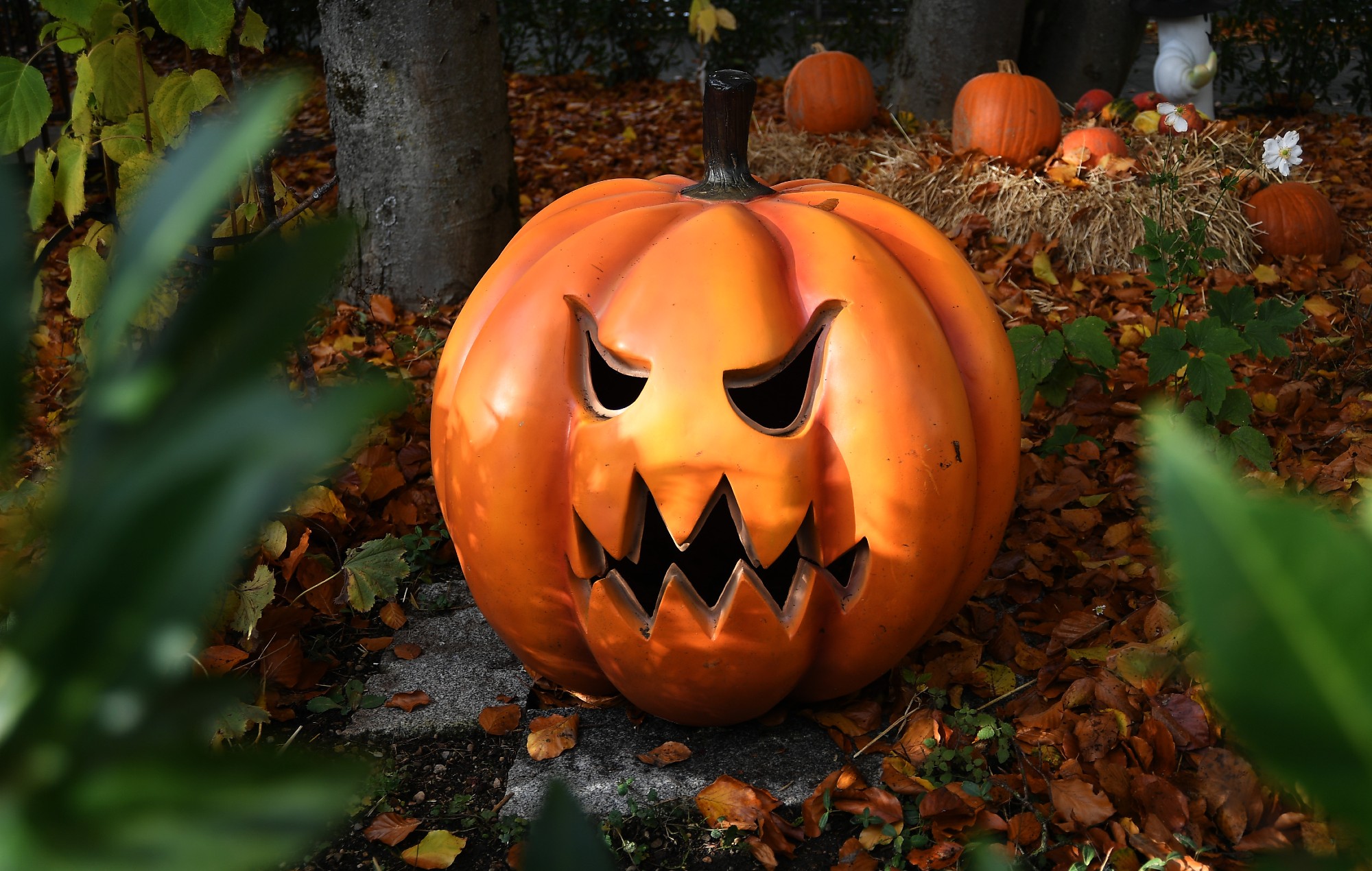 These are the most-watched scary movies of Halloween 2025