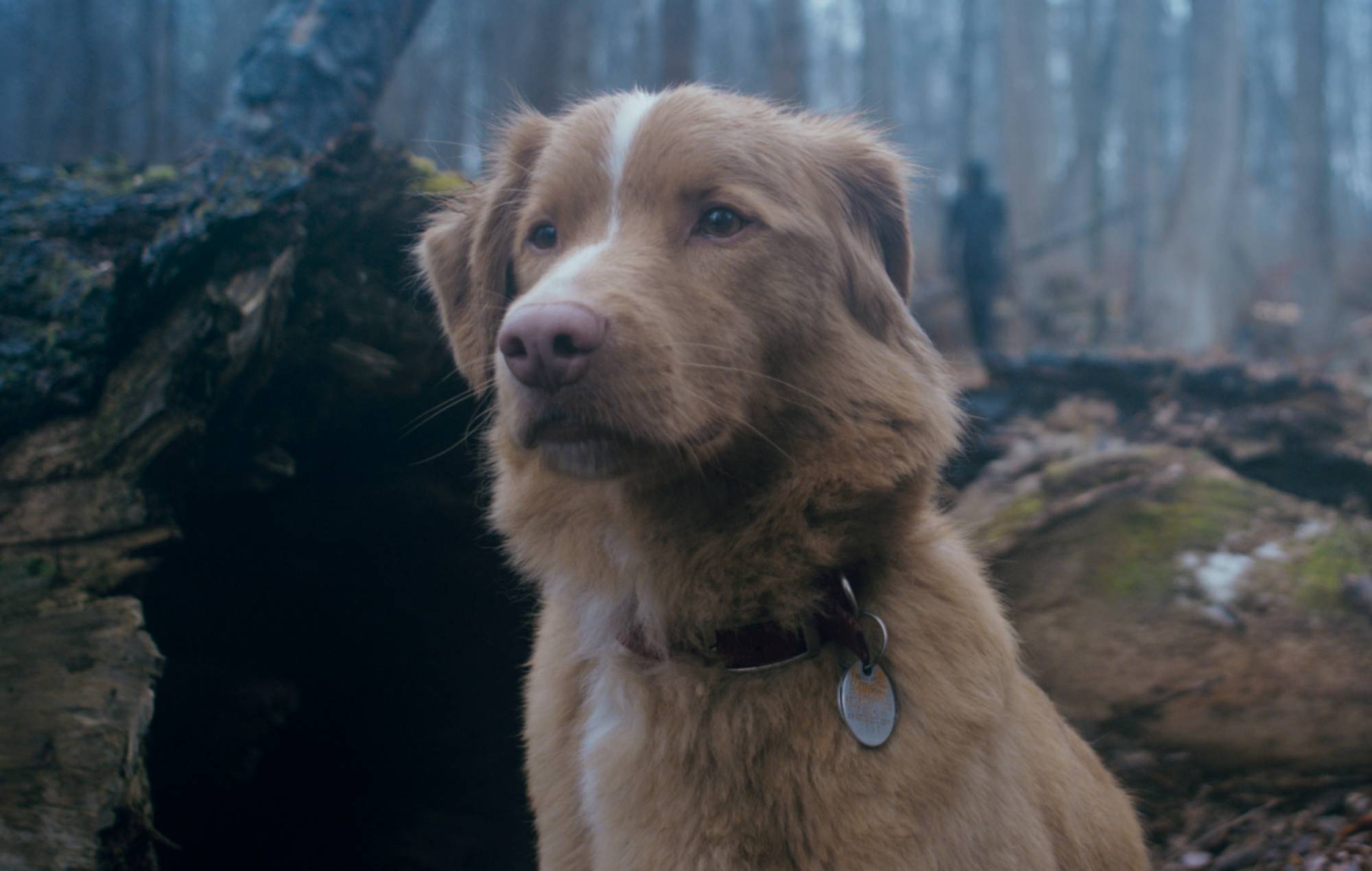 Every song on the ‘Good Boy’ soundtrack 