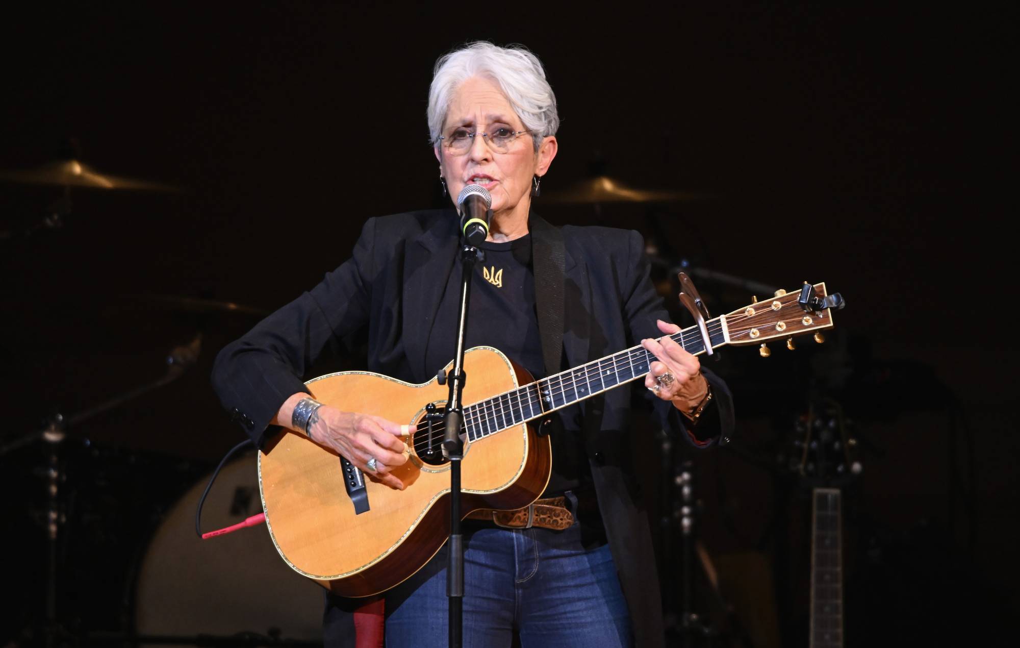 White House responds to ‘Little Green Worm’, Joan Baez’s scathing poem about Donald Trump