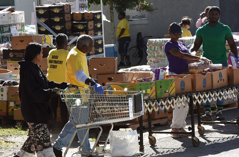 What Is SNAP? – The Supplemental Nutrition Assistance Program