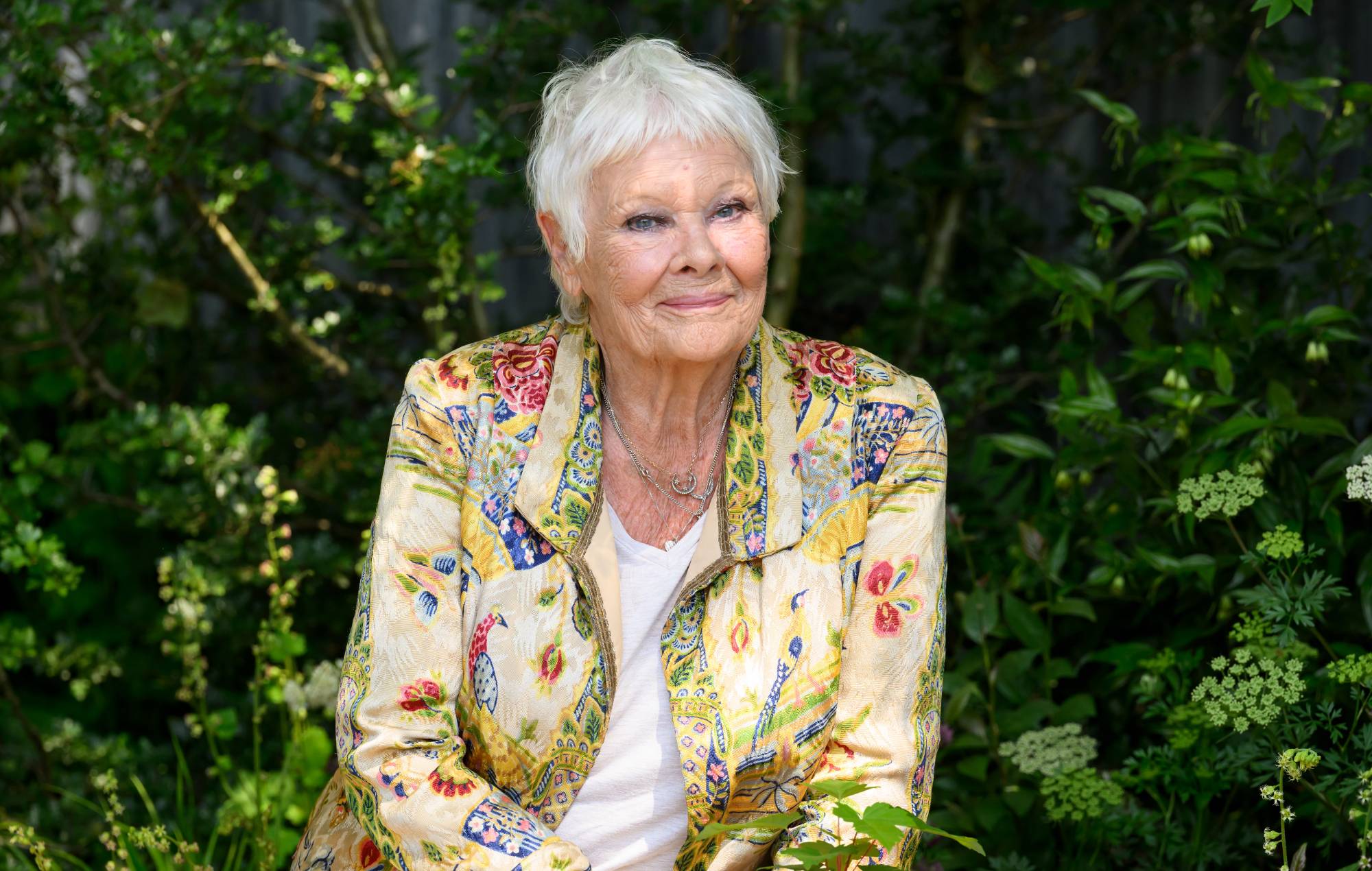Judi Dench on her deteriorating eyesight: “I can’t recognise anybody now”