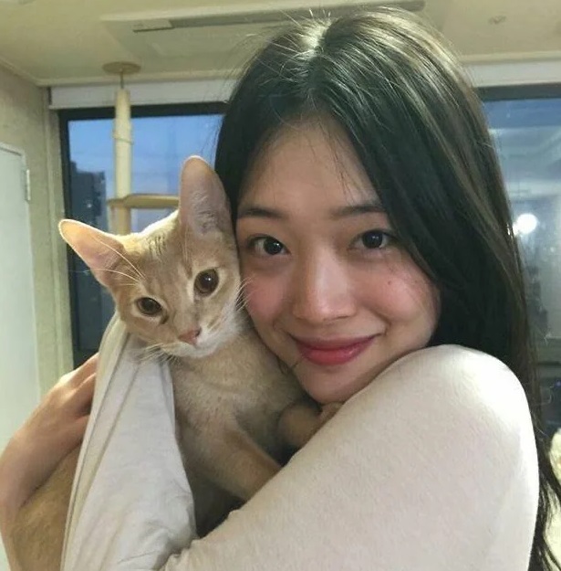 The Kpopalypse Koreaboo performance review