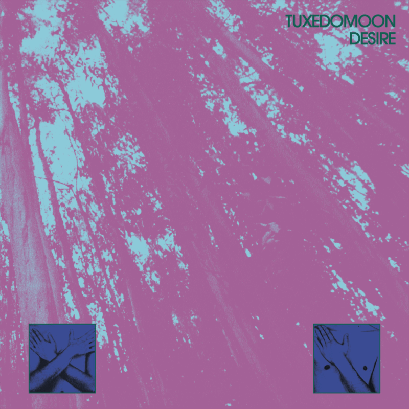 Tuxedomoon’s “Desire” Receives 45th Anniversary Reissue — Co-Founder Steven Brown Releases New Single “Pyramides”