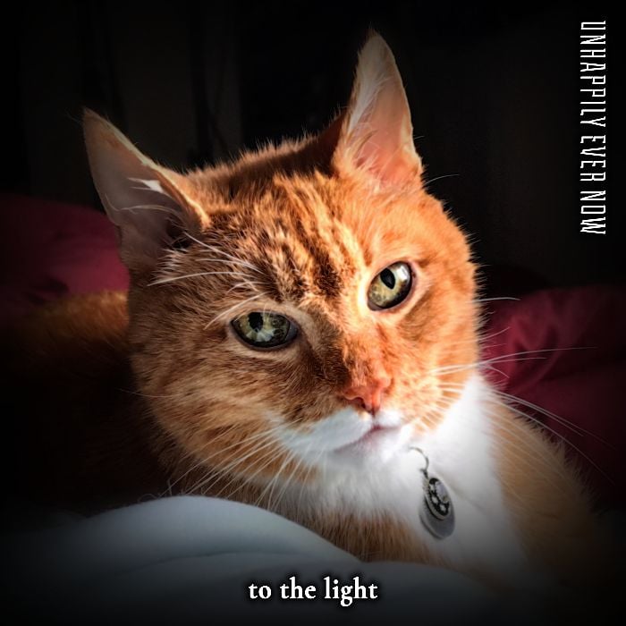 Unhappily Ever Now Pay Tribute to a Lost Feline Friend With the Heartfelt Single “To The Light”