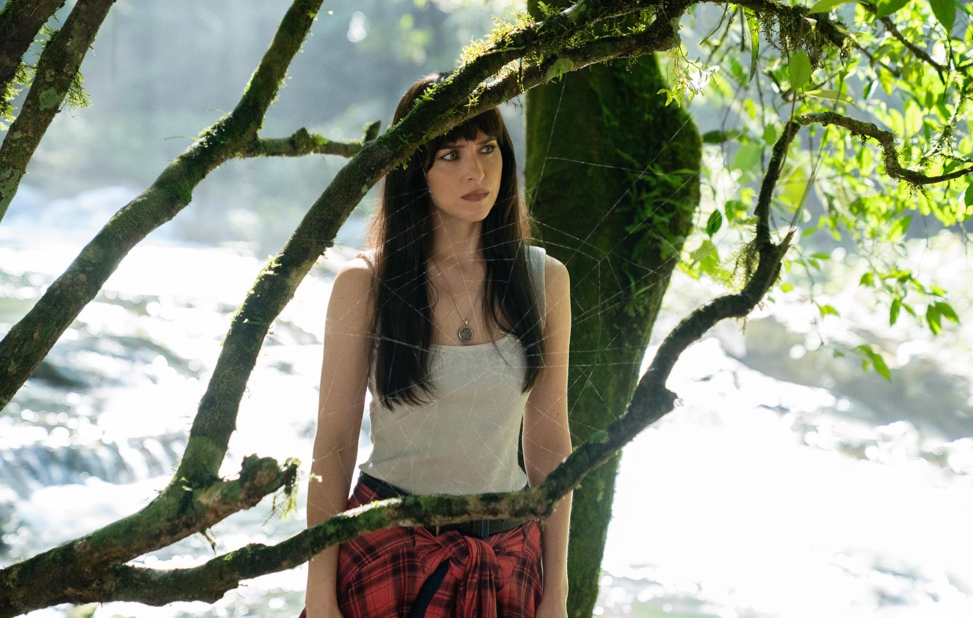 Dakota Johnson says film financiers are “really shady sometimes” as she details “love-hate relationship” with producing