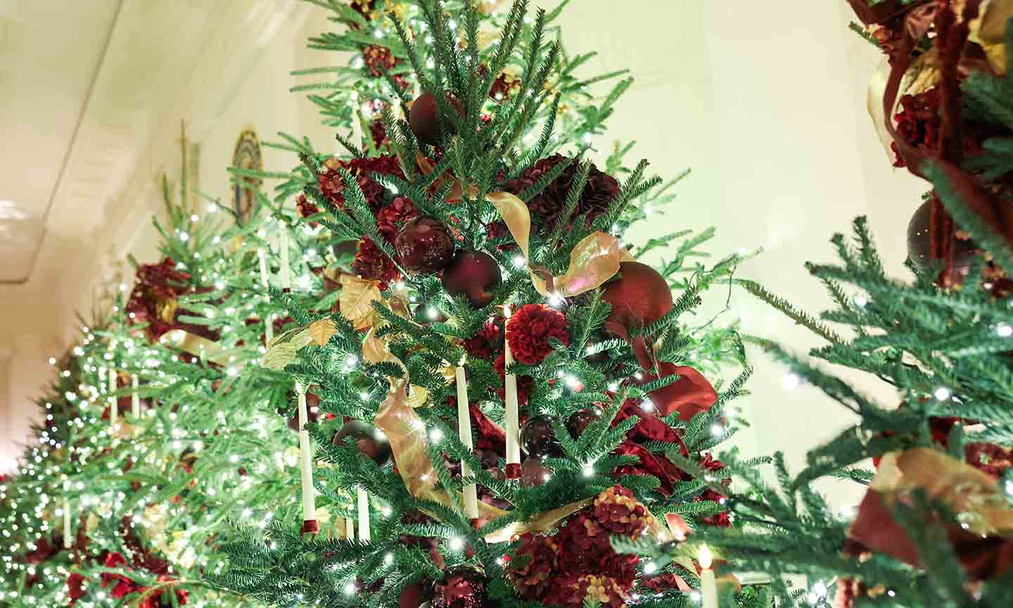 The Beach Boys & Jon Pardi To Perform at National Christmas Tree Lighting