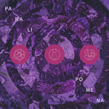 Pillars of Cacophony – Paralipomena [Things You Might Have Missed 2025]