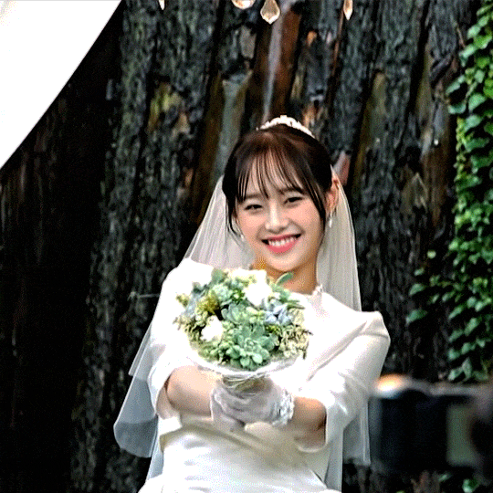 Kpopalypse’s 2025 nerdy stats, metrics and charts post for neurodivergent eggheads