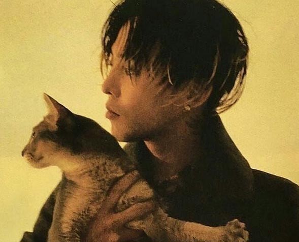 Kpopalypse roundup – new k-pop releases 1/12/2025 PLUS end of year survey!