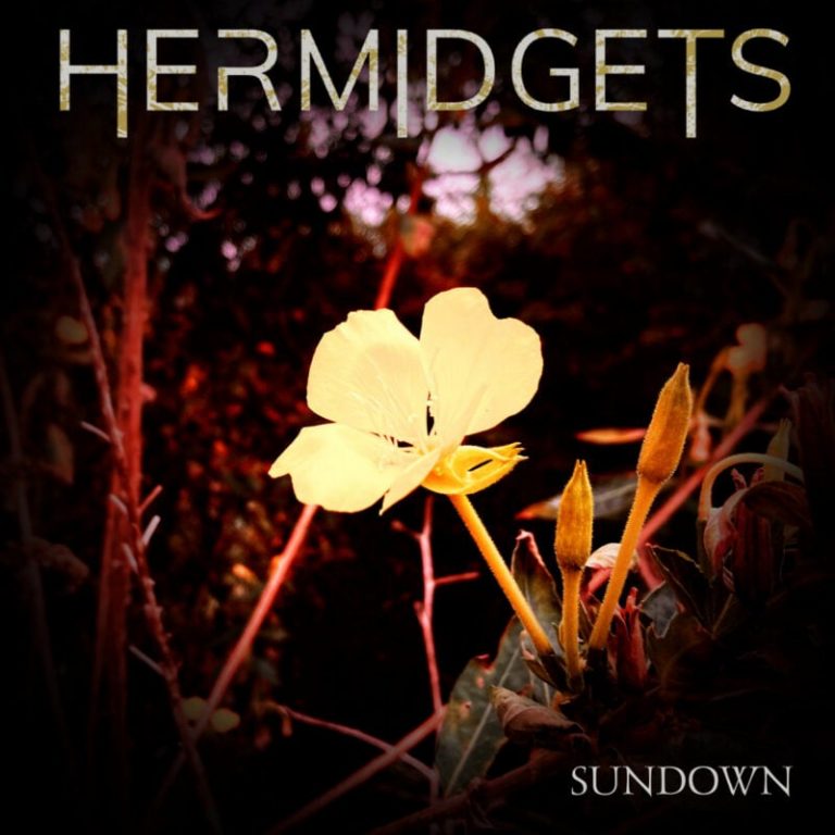 Enigmatic Synthpop Artist Hermidgets Wanders the Night in Eerie Video for “Sundown”