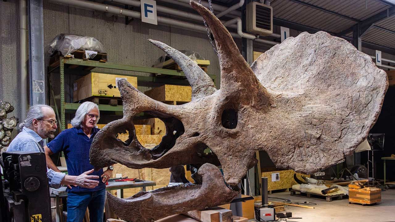 “Like a fantastic beast sprung from Dante’s Inferno”: Meet the 67-million-year-old Triceratops skull named after Ozzy Osbourne