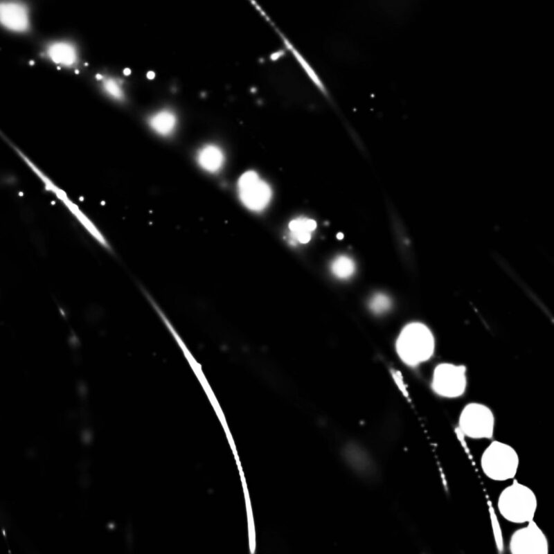 Philadelphia Dreampop Act Forest Circles Launches into an Atmosphere of Desire and Doubt with “Astronaut”