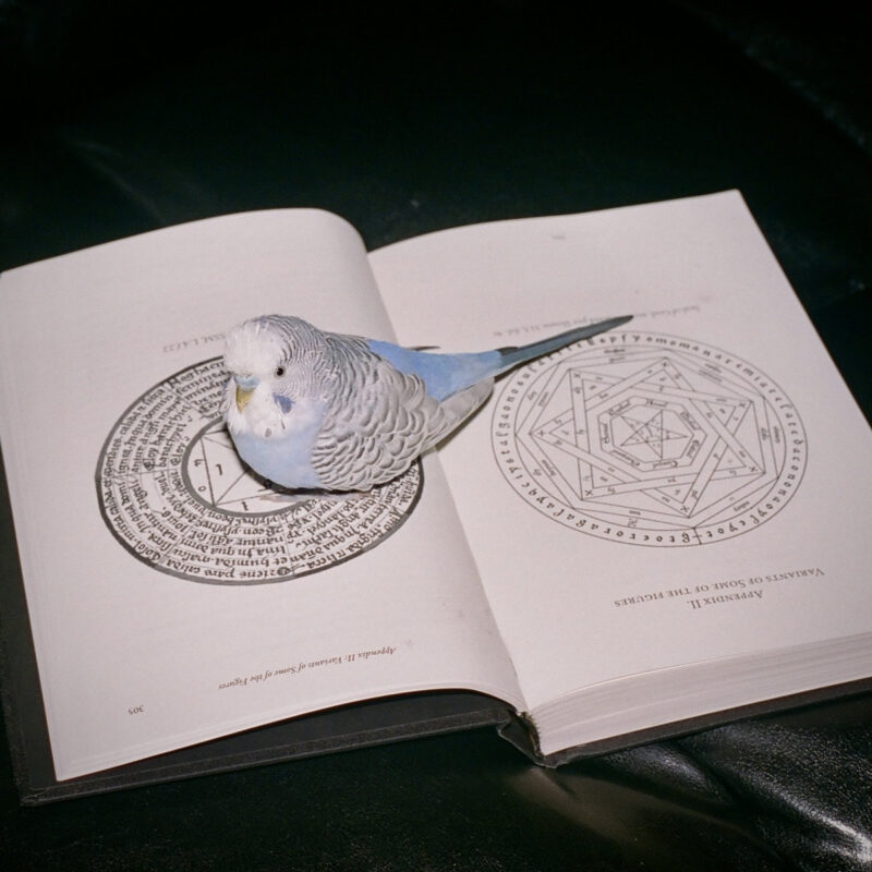 “Never Any Calm Before the Rain” — Julian Ash Descends into Omnihell and Finds Beauty in “Extreme Suffering”