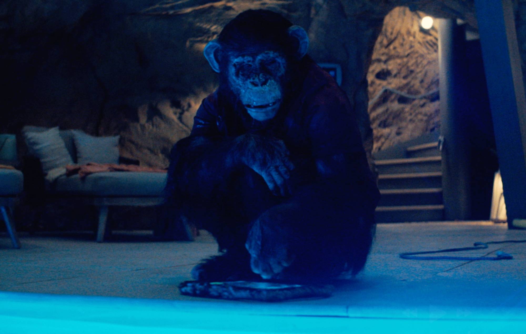 Every song on the ‘Primate’ soundtrack