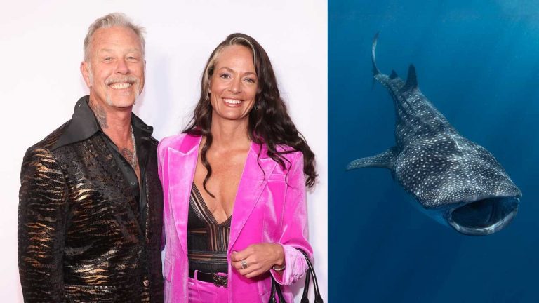 “In a sea full of fish, we caught each other.” James Hetfield proposes to partner Adriana Gillett underwater while swimming with whale sharks