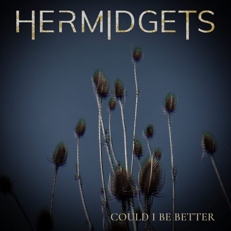 Hermidgets Faces the Person They Never Were in Video for Somber Synthpop Track “Could I Be Better”