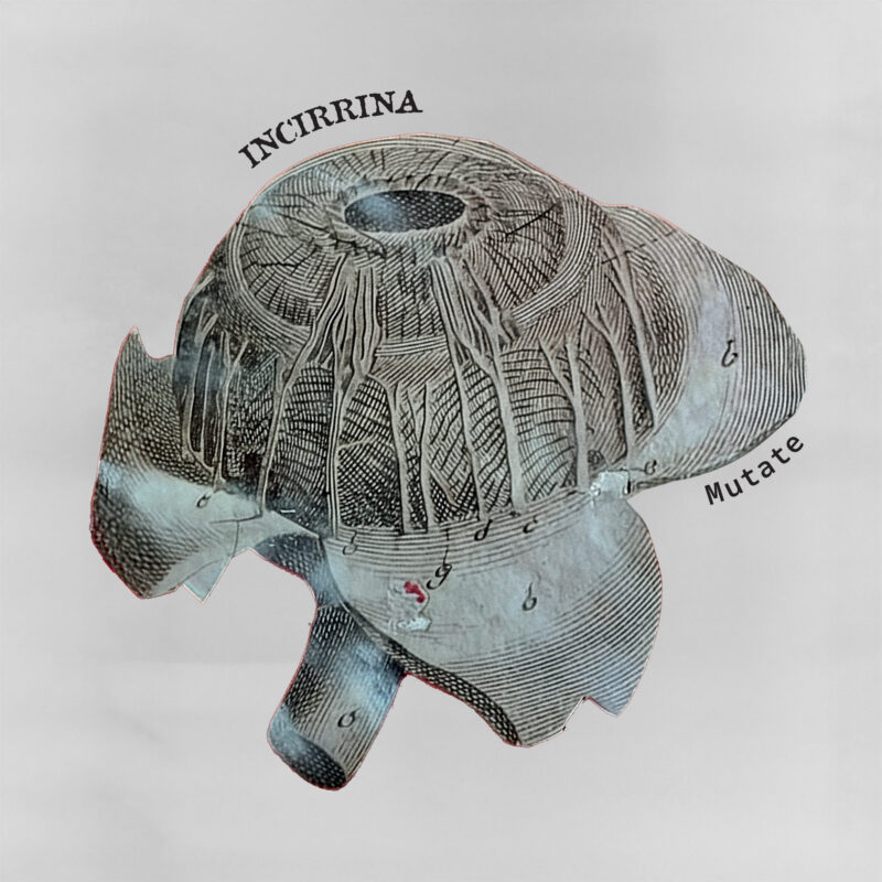 “Erupt, Transform, Amaze!” — Athens Dark Synth Duo Incirrina Ignite the Self in Video for “Mutate”