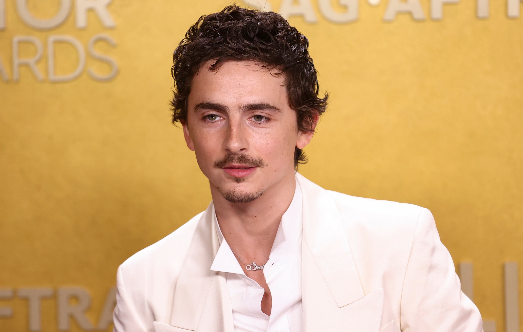 Timothée Chalamet sparks controversy for saying “no one cares” about ballet and opera: “To take cheap shots at fellow artists shows a lot about his character”