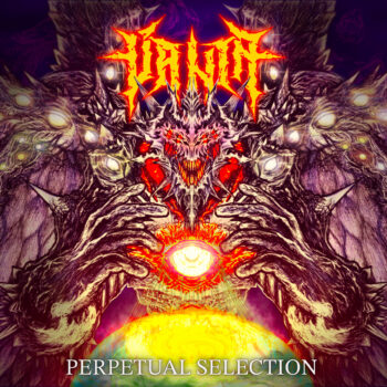 Vanta – Perpetual Selection Review