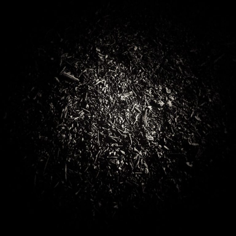 “Under the Cover of Darkness” — And it Was Night Guides a Nocturnal Mystery With “What’s Beyond the Light?”