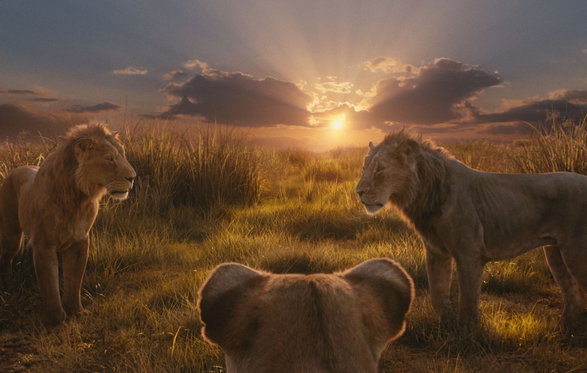 Translation of what the opening lyrics to ‘The Lion King’ theme actually means goes viral