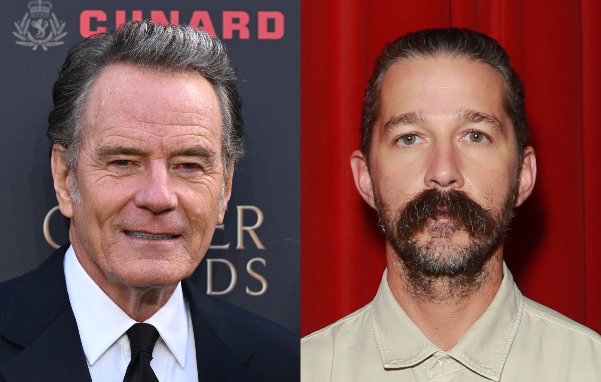 Bryan Cranston mocks Shia LaBeouf, tells him to “get some help”