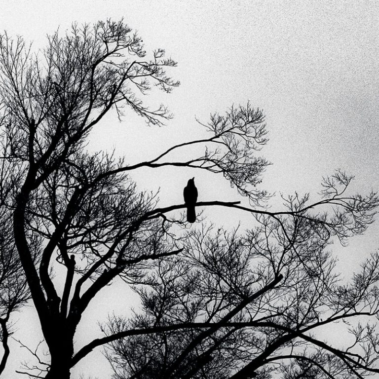 “I Can’t Seem to Control Myself” — London’s Mouth Ulcers Chase the Shadow of Desire in Video for “Closer To You”